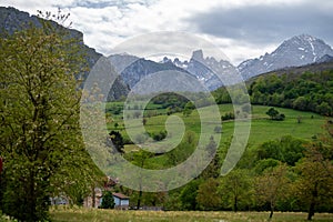 Pouring from high height of natural Asturian cider made fromÂ fermented apples, Asturian cabrales cow blue cheese with view on